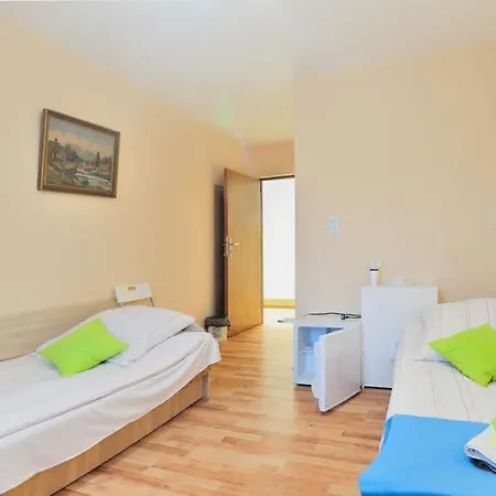Hostel Viola *