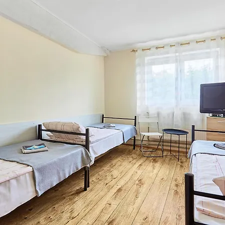 Hostel Viola