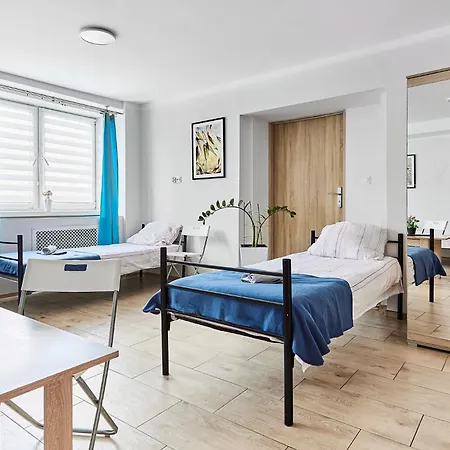 Hostel Viola
